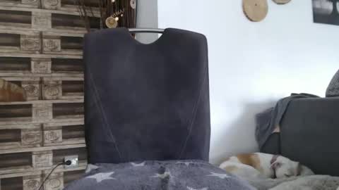 despotar123 online show from October 2025 11:18:02 AM