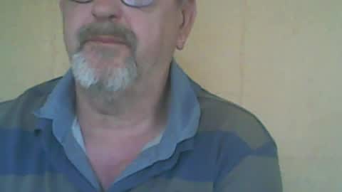 destelp online show from July 2026 11:17:02 AM