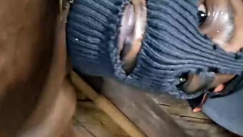 Snapshot of dhbbc454336 chatting on October 2025 07:15:01 AM Marcus D-von Steel as the raunchy ass sniffer thrill me with your online show from October 2025 07:15:01 AM