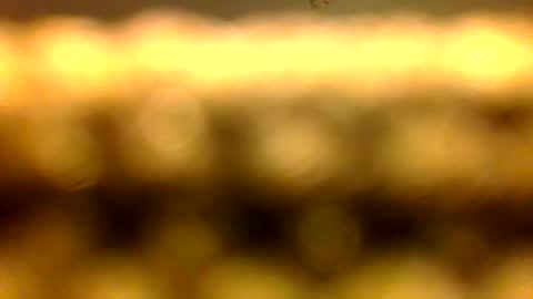 Snapshot of dhbbc454336 chatting on April 2026 10:41:02 AM Marcus D-von Steel as the raunchy ass sniffer thrill me with your online show from April 2026 10:41:02 AM