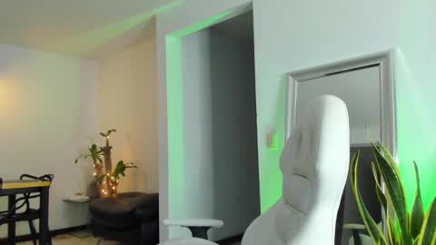 Snapshot of diagostone chatting on February 2025 04:47:02 AM Diego online show from February 2025 04:47:02 AM