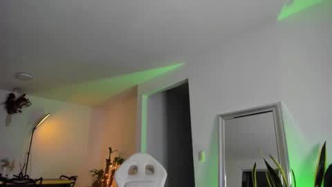 Snapshot of diagostone chatting on February 2025 08:04:01 AM Diego online show from February 2025 08:04:01 AM