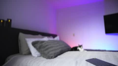 Snapshot of diagostone chatting on November 2025 08:54:02 PM Diego online show from November 2025 08:54:02 PM