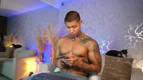 Snapshot of diagostone chatting on February 2026 04:22:02 PM Diego online show from February 2026 04:22:02 PM