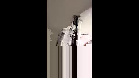 dickdiesel1989 online show from November 2025 01:08:01 AM