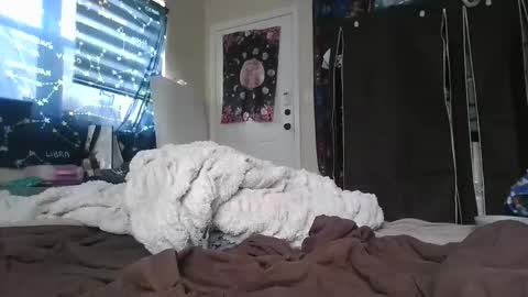Snapshot of dickemda chatting on May 2026 02:47:01 PM dickemda online show from May 2026 02:47:01 PM