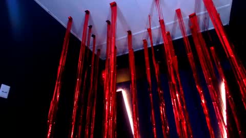 Snapshot of diego__cruz chatting on February 2025 05:51:01 PM Diego online show from February 2025 05:51:01 PM