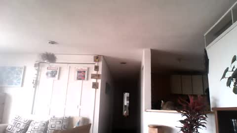 diego_incubo_ii online show from July 2026 04:34:01 PM