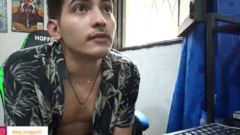 Snapshot of diegorogue_ chatting on February 2025 04:50:02 PM Diego rogue online show from February 2025 04:50:02 PM