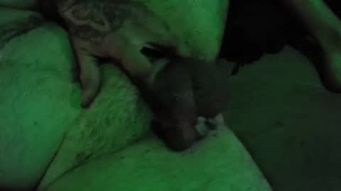 Snapshot of dikkdixon chatting on February 2026 03:57:01 PM dikkdixon online show from February 2026 03:57:01 PM