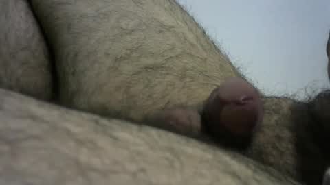 Snapshot of dilaradagci chatting on December 2024 04:09:02 PM Bob online show from December 2024 04:09:02 PM