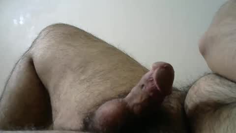 Snapshot of dilaradagci chatting on February 2025 11:41:02 AM Bob online show from February 2025 11:41:02 AM