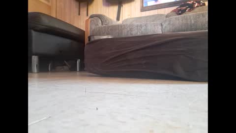 Snapshot of dildosnme22 chatting on February 2025 07:48:02 PM dildosnme22 online show from February 2025 07:48:02 PM