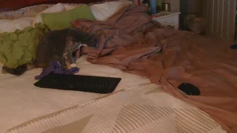 Snapshot of dildosnme22 chatting on December 2025 09:15:02 AM dildosnme22 online show from December 2025 09:15:02 AM