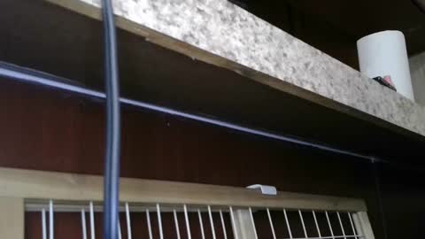 Sofie online show from February 2025 05:48:02 PM