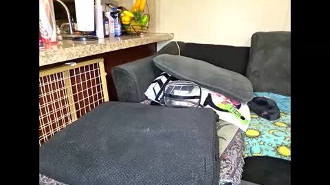 Sofie online show from May 2026 09:16:02 AM