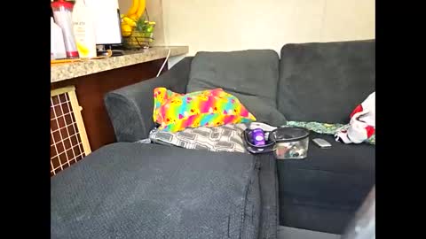 Sofie online show from May 2026 02:33:01 PM