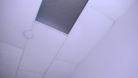 DINA online show from December 2024 09:55:02 PM