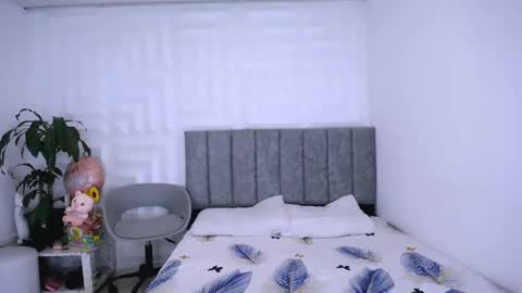 DINA online show from January 2025 04:15:01 PM