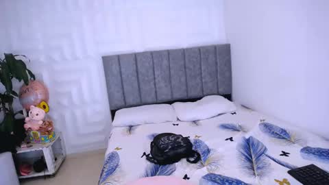 DINA online show from January 2025 05:19:01 PM