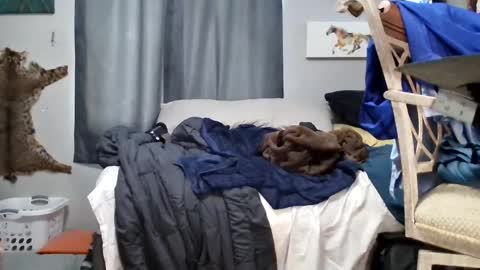 dinodick4uall online show from February 2025 03:01:02 PM