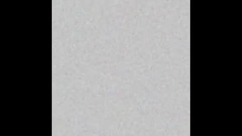 Snapshot of dirk_diggler_dirk chatting on December 2024 05:37:01 PM Dirk Diggler online show from December 2024 05:37:01 PM