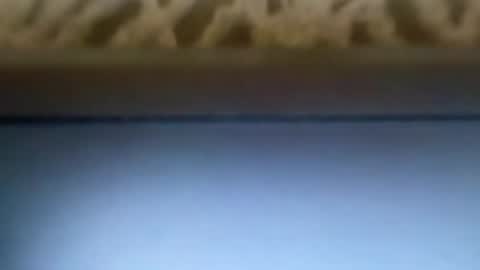 Snapshot of dirlandis chatting on April 2026 06:30:01 AM free4fun online show from April 2026 06:30:01 AM