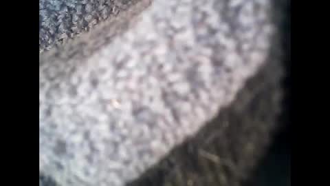 Snapshot of discovery63 chatting on May 2026 09:48:01 AM discovery63 online show from May 2026 09:48:01 AM