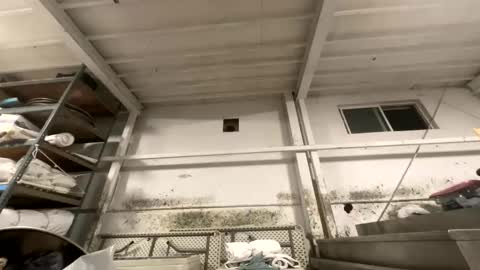 Snapshot of dishtv4all chatting on October 2025 03:21:02 AM sexyguy online show from October 2025 03:21:02 AM