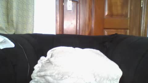 dixie_driver online show from September 2025 09:09:01 PM