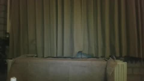 djensenhc online show from January 2026 11:32:02 PM