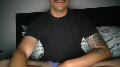 dk420mwa online show from December 2024 02:06:02 PM