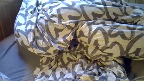 DKdad online show from April 2026 02:07:01 PM