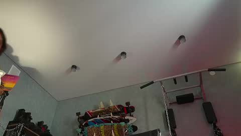 Snapshot of dl_raven chatting on February 2025 08:43:02 AM Silverhand online show from February 2025 08:43:02 AM