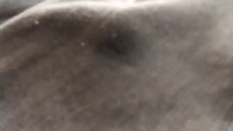 dlov3 online show from February 2026 10:13:02 PM