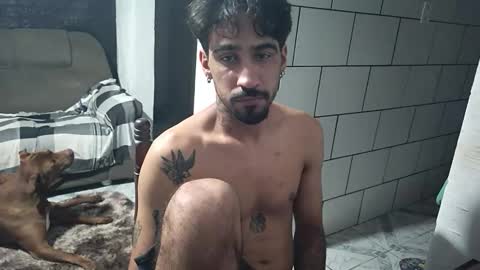 Snapshot of dmacedo96 chatting on January 2026 02:17:01 AM AmigodotadoZL online show from January 2026 02:17:01 AM