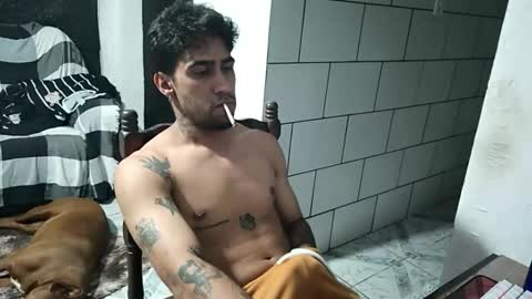 Snapshot of dmacedo96 chatting on February 2026 10:11:02 PM AmigodotadoZL online show from February 2026 10:11:02 PM