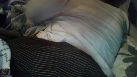 Alex online show from December 2025 08:56:02 AM