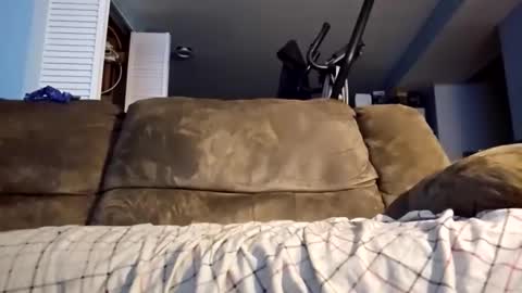 dogbone999081 online show from December 2025 08:45:02 AM