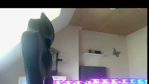 doggy2629 online show from June 2026 12:05:02 PM