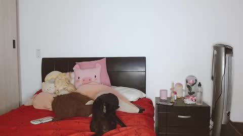 Snapshot of doll_and_sex chatting on February 2025 03:55:02 AM Auro and Santiago online show from February 2025 03:55:02 AM