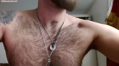 Logan - INDEPENDET MODEL online show from April 2026 12:29:02 PM