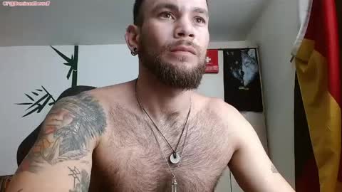 Logan - INDEPENDET MODEL online show from May 2026 11:57:02 PM