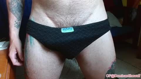Logan - INDEPENDET MODEL online show from May 2026 05:04:02 AM