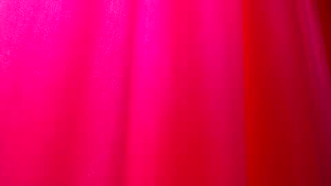 DommeTomorrow online show from February 2025 05:36:01 PM