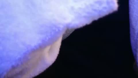 domse999 online show from February 2025 11:34:02 AM