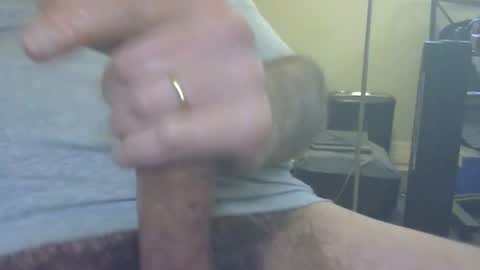 don_quixote3 online show from April 2026 04:48:01 PM