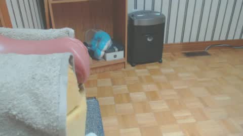 Don online show from June 2026 04:53:01 PM