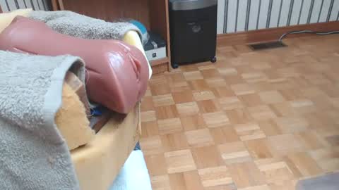 Don online show from August 2026 05:45:01 PM