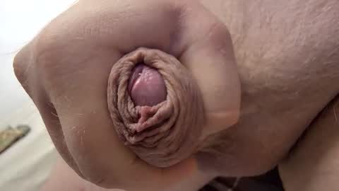 donaldsmitters online show from April 2026 04:38:01 AM